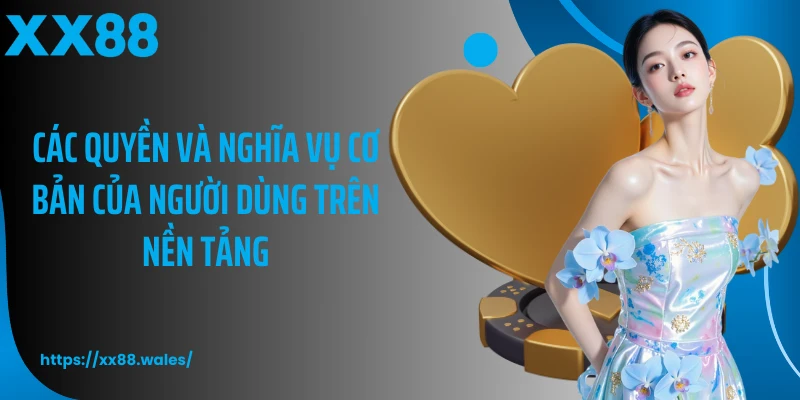Các quyền và nghĩa vụ cơ bản của người dùng trên nền tảng